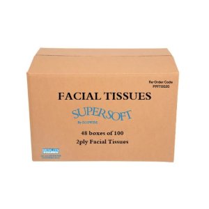 Ecowise Facial Tissues Pkt100 Ctn48