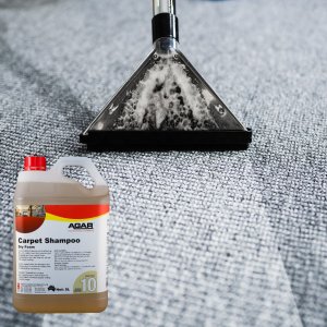 Carpet Cleaners